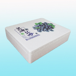 東興4盒藍莓泡沫箱彩印