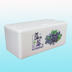 東興4盒藍莓泡沫箱